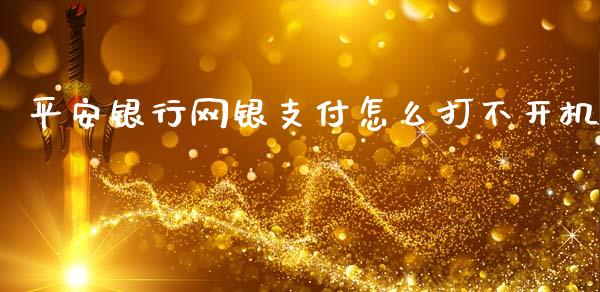 平安银行网银支付怎么打不开机_https://wap.jnbaishite.cn_金融资讯_第1张