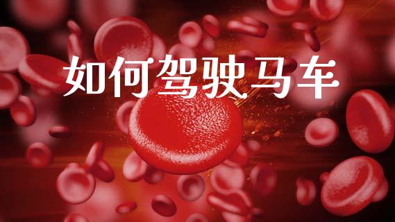 如何驾驶马车_https://wap.jnbaishite.cn_全球财富_第1张