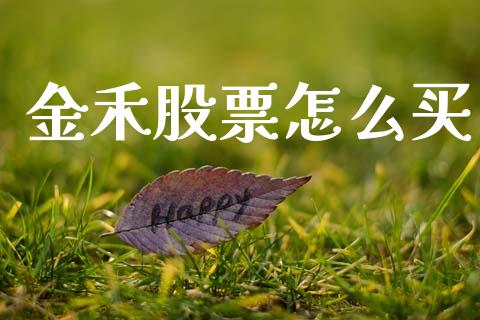 金禾股票怎么买_https://wap.jnbaishite.cn_全球财富_第1张