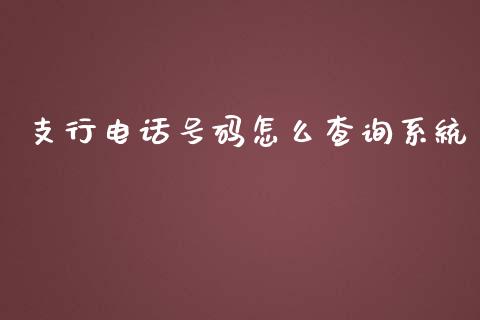 支行电话号码怎么查询系统_https://wap.jnbaishite.cn_期货资讯_第1张
