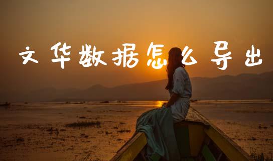 文华数据怎么导出_https://wap.jnbaishite.cn_金融资讯_第1张