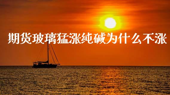 期货玻璃猛涨纯碱为什么不涨_https://wap.jnbaishite.cn_期货资讯_第1张