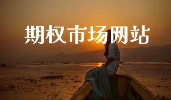 期权市场网站_https://wap.jnbaishite.cn_期货资讯_第1张