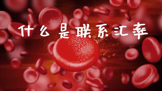 什么是联系汇率_https://wap.jnbaishite.cn_期货资讯_第1张