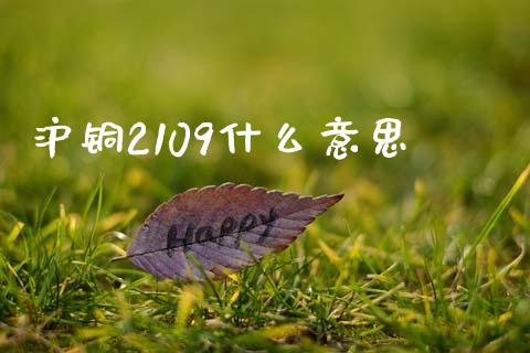 沪铜2109什么意思_https://wap.jnbaishite.cn_期货资讯_第1张