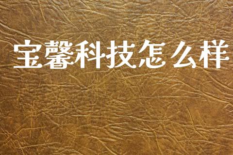 宝馨科技怎么样_https://wap.jnbaishite.cn_金融资讯_第1张