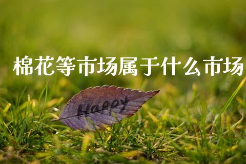 棉花等市场属于什么市场_https://wap.jnbaishite.cn_期货资讯_第1张