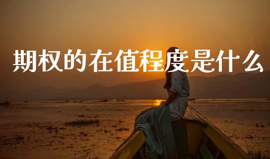 期权的在值程度是什么_https://wap.jnbaishite.cn_理财投资_第1张