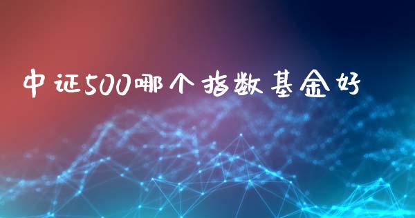 中证500哪个指数基金好_https://wap.jnbaishite.cn_理财投资_第1张