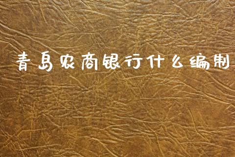 青岛农商银行什么编制_https://wap.jnbaishite.cn_理财投资_第1张