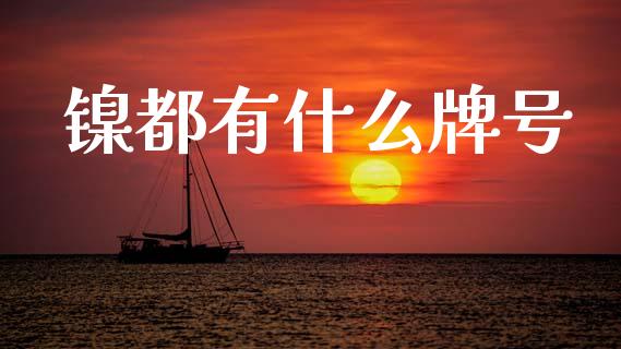 镍都有什么牌号_https://wap.jnbaishite.cn_期货资讯_第1张