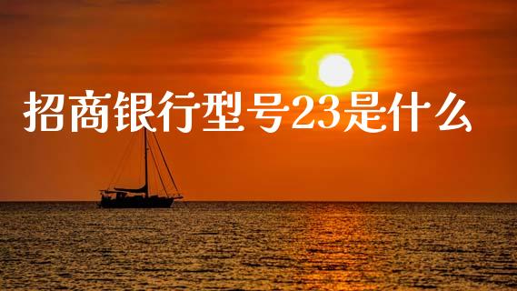 招商银行型号23是什么_https://wap.jnbaishite.cn_期货资讯_第1张