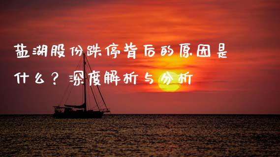 盐湖股份跌停背后的原因是什么？深度解析与分析_https://wap.jnbaishite.cn_期货资讯_第1张