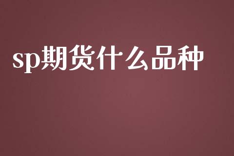 sp期货什么品种_https://wap.jnbaishite.cn_金融资讯_第1张