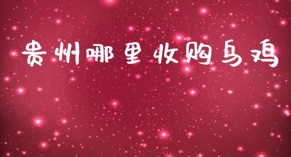 贵州哪里收购乌鸡_https://wap.jnbaishite.cn_金融资讯_第1张