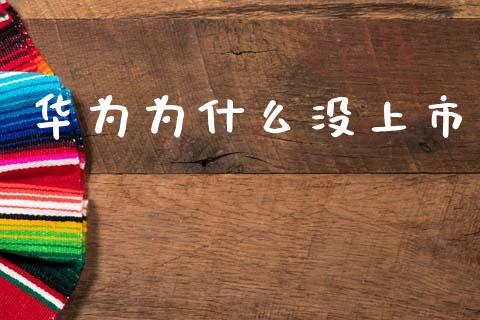 华为为什么没上市_https://wap.jnbaishite.cn_金融资讯_第1张