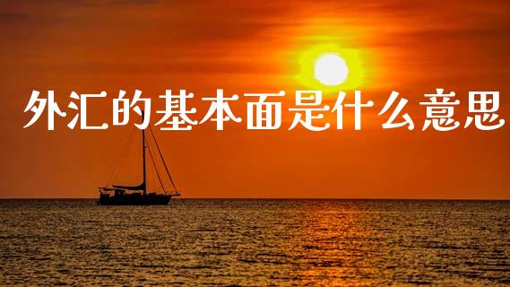 外汇的基本面是什么意思_https://wap.jnbaishite.cn_理财投资_第1张