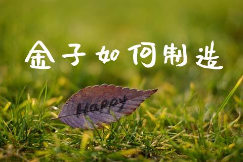 金子如何制造_https://wap.jnbaishite.cn_期货资讯_第1张