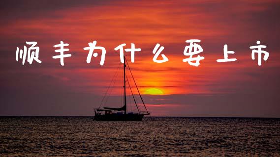 顺丰为什么要上市_https://wap.jnbaishite.cn_期货资讯_第1张