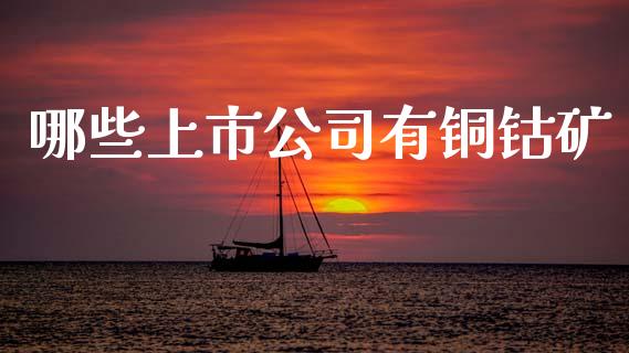 哪些上市公司有铜钴矿_https://wap.jnbaishite.cn_金融资讯_第1张