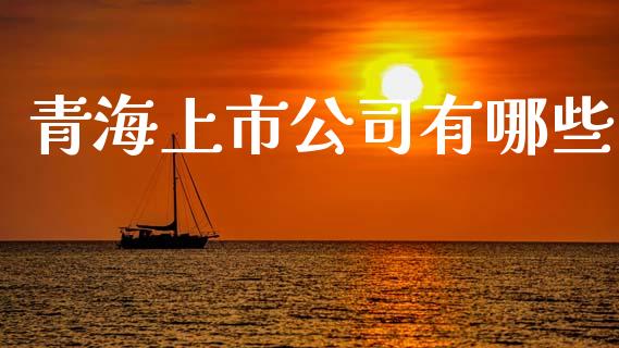 青海上市公司有哪些_https://wap.jnbaishite.cn_全球财富_第1张