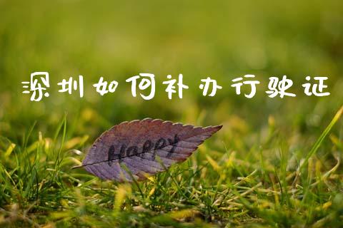 深圳如何补办行驶证_https://wap.jnbaishite.cn_金融资讯_第1张