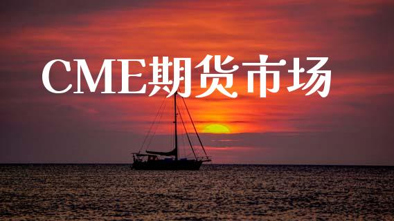 CME期货市场_https://wap.jnbaishite.cn_全球财富_第1张