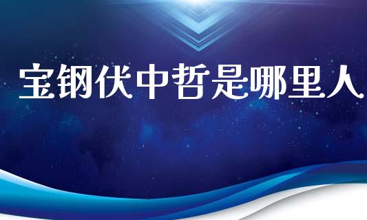 宝钢伏中哲是哪里人_https://wap.jnbaishite.cn_全球财富_第1张