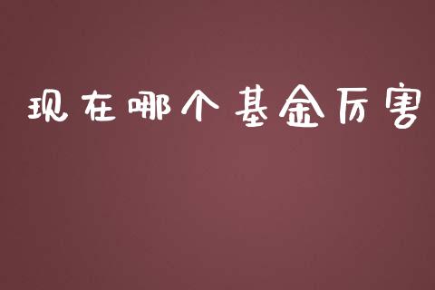 现在哪个基金厉害_https://wap.jnbaishite.cn_理财投资_第1张