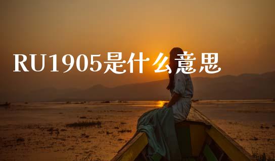 RU1905是什么意思_https://wap.jnbaishite.cn_金融资讯_第1张