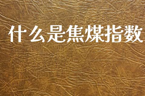 什么是焦煤指数_https://wap.jnbaishite.cn_期货资讯_第1张