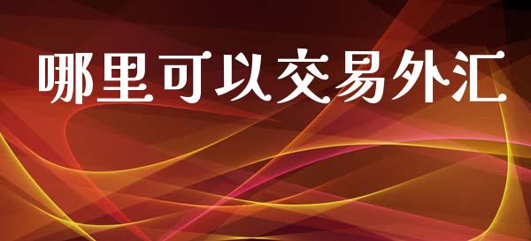 哪里可以交易外汇_https://wap.jnbaishite.cn_金融资讯_第1张