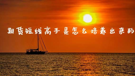 期货短线高手是怎么培养出来的_https://wap.jnbaishite.cn_全球财富_第1张