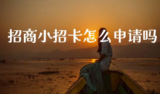 招商小招卡怎么申请吗_https://wap.jnbaishite.cn_全球财富_第1张