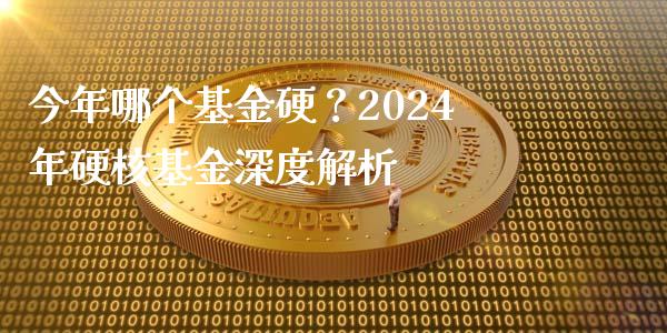 今年哪个基金硬？2024年硬核基金深度解析_https://wap.jnbaishite.cn_全球财富_第1张