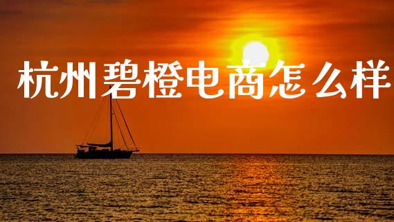 杭州碧橙电商怎么样_https://wap.jnbaishite.cn_理财投资_第1张