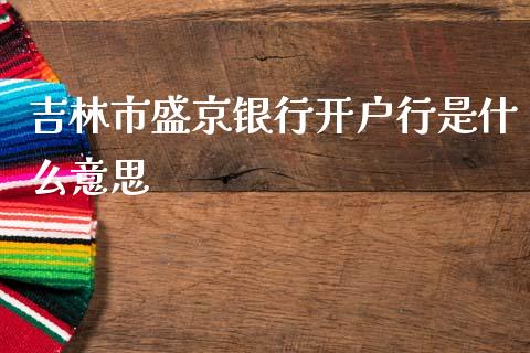 吉林市盛京银行开户行是什么意思_https://wap.jnbaishite.cn_期货资讯_第1张