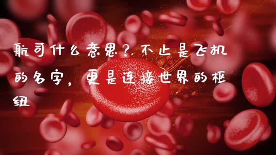航司什么意思？不止是飞机的名字，更是连接世界的枢纽_https://wap.jnbaishite.cn_理财投资_第1张