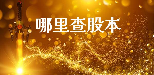 哪里查股本_https://wap.jnbaishite.cn_理财投资_第1张