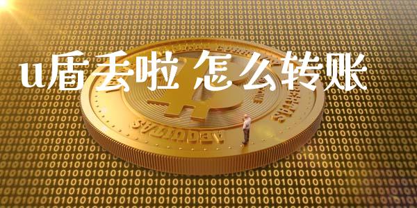 u盾丢啦 怎么转账_https://wap.jnbaishite.cn_期货资讯_第1张