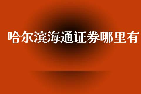 哈尔滨海通证券哪里有_https://wap.jnbaishite.cn_金融资讯_第1张