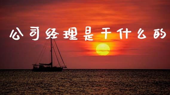 公司经理是干什么的_https://wap.jnbaishite.cn_全球财富_第1张