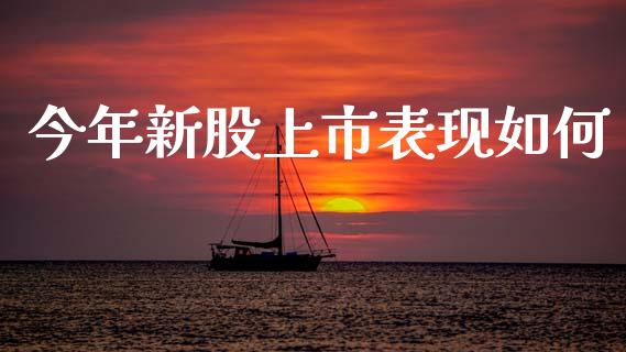今年新股上市表现如何_https://wap.jnbaishite.cn_金融资讯_第1张