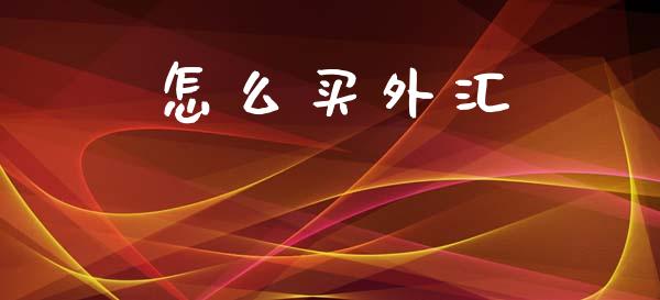 怎么买外汇_https://wap.jnbaishite.cn_理财投资_第1张