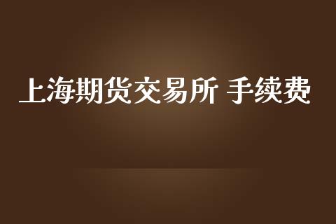上海期货交易所 手续费_https://wap.jnbaishite.cn_理财投资_第1张