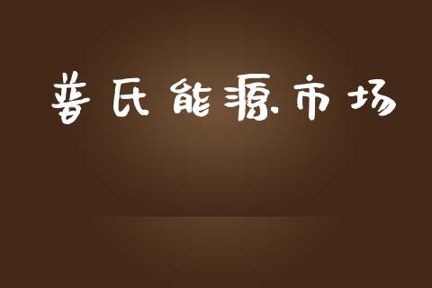 普氏能源市场_https://wap.jnbaishite.cn_理财投资_第1张