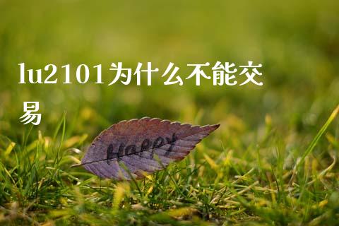 lu2101为什么不能交易_https://wap.jnbaishite.cn_理财投资_第1张