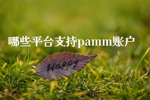 哪些平台支持pamm账户_https://wap.jnbaishite.cn_金融资讯_第1张