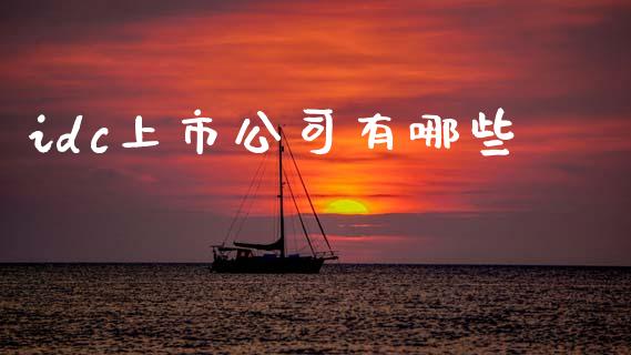 idc上市公司有哪些_https://wap.jnbaishite.cn_全球财富_第1张