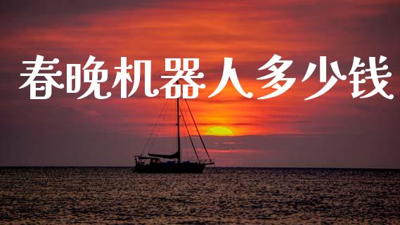 春晚机器人多少钱_https://wap.jnbaishite.cn_金融资讯_第1张